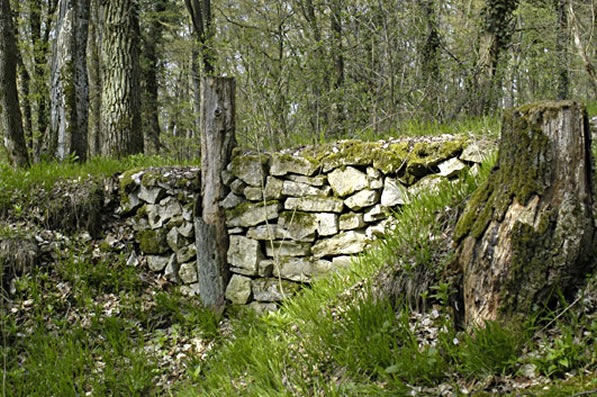 Vestiges celtes du Britzgyberg près d'Illfurth | J-P. Girard