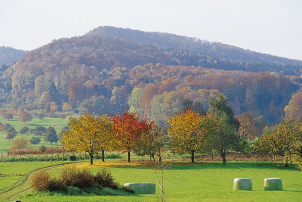 Le Glaserberg, point culminant du Sundgau | J-P. Girard