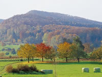 Le Glaserberg, point culminant du Sundgau | J-P. Girard