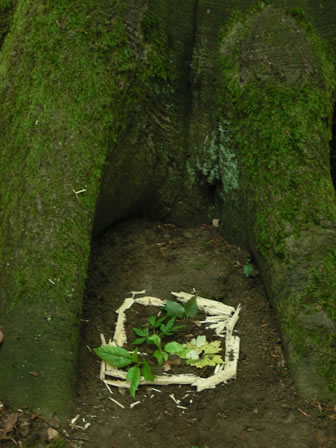 Petit jardin abrité au pied d'un arbre | G. Guérin