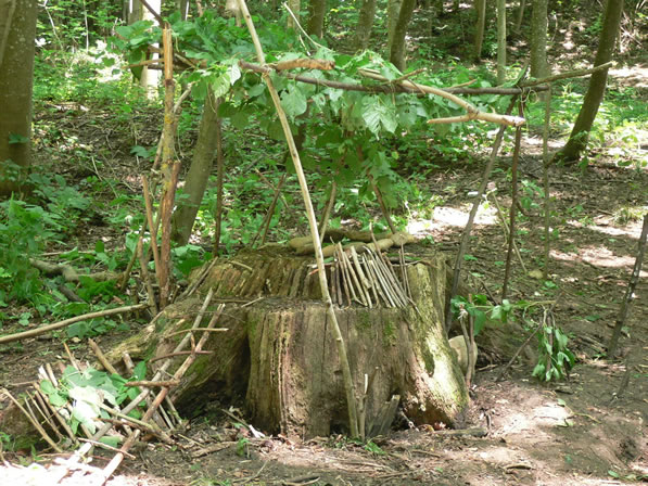 Cabane de lutins réalisée à partir d'une souche | G. Guérin