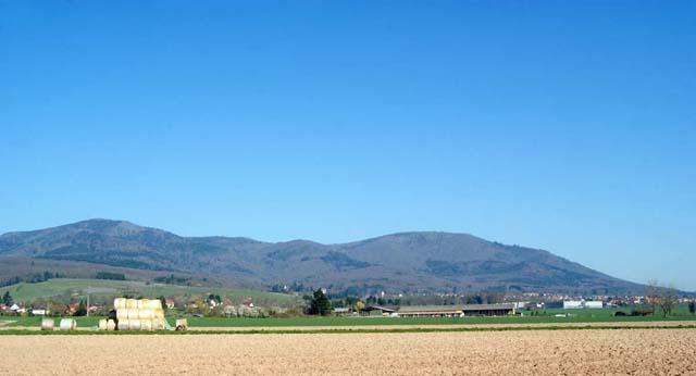 Le massif Molkenrain-Hartmannswillerkopf vu depuis la plaine à hauteur de Wattwiller. 