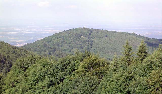 Le col du Silberloch et le sommet du Hartmannswillerkopf vus depuis le Molkenrain.