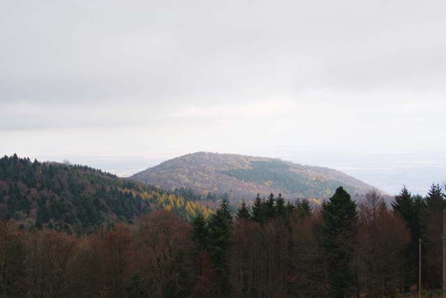 Le sommet du Hartmannswillerkopf vu depuis la ferme-auberge du Molkenrain.