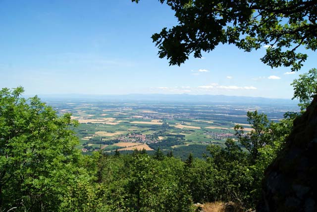   Vue depuis le Jägerfelsen vers l’est et la plaine d’Alsace. 