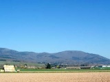 Le massif Molkenrain-Hartmannswillerkopf vu depuis la plaine à hauteur de Wattwiller. 