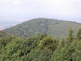 Le col du Silberloch et le sommet du Hartmannswillerkopf vus depuis le Molkenrain.