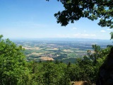   Vue depuis le Jägerfelsen vers l’est et la plaine d’Alsace. 