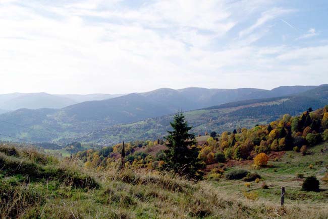 Vue sur le massif du Hohneck et la vallée de Munster depuis les hauteurs du  Glasborn et de la première ligne française.