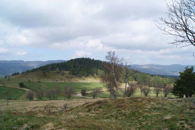 Le Hurlin (Hoernelskopf) depuis la Courtine.