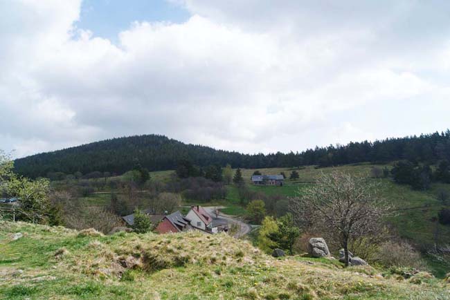 Vue depuis la crête dominant le Glasborn sur le Schratzmännele, la prairie de la  Courtine dont la pente douce mène au Barrenkopf.