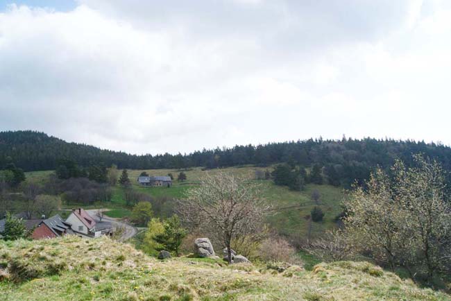 Vue depuis la crête dominant le Glasborn sur le Schratzmännele, la prairie de la  Courtine et le Barrenkopf.