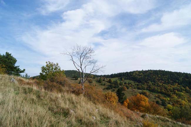 Depuis la seconde ligne française, vue sur le Schratzmännele, la Courtine et le Barrenkopf.