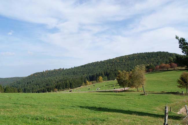 Le Schratzmännele, le Collet et le Lingekopf vus depuis le flanc du Combekopf.