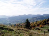 Vue sur le massif du Hohneck et la vallée de Munster depuis les hauteurs du  Glasborn et de la première ligne française.