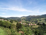 Vue sur le champ de bataille du Lingekopf depuis Hohrod.