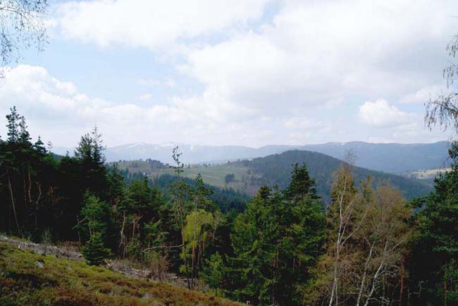 Vue sur les Crêtes, le Wettstein  (à droite) et le Hoernelskopf (Hurlin) depuis le flanc ouest du Lingekopf.