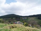 Vue depuis la crête dominant le Glasborn sur le Schratzmännele, la prairie de la  Courtine dont la pente douce mène au Barrenkopf.