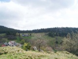 Vue depuis la crête dominant le Glasborn sur le Schratzmännele, la prairie de la  Courtine et le Barrenkopf.