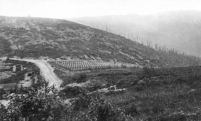 Le cimetière militaire français au pied du Petit Reichackerkopf en 1919.