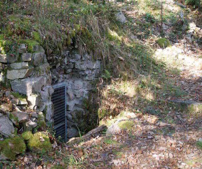 Reichsackerkopf : le bunker bétonné du Minenwerfer des premières lignes allemandes (C3). 