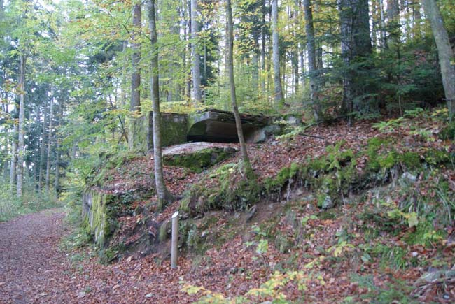 Blockhaus d'observation et de tir à deux niveaux de la face nord (C14). 