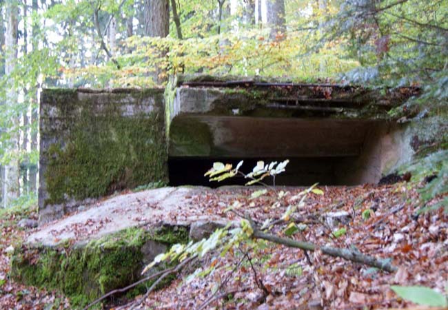 Blockhaus d'observation et de tir à deux niveaux de la face nord (C14): l'embrasure de tir. 