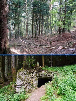 Tranchée et abri français sur les pentes du Sattelkopf, dans le secteur français. 