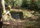 Reichsackerkopf : la fenêtre de tir du bunker bétonné du Minenwerfer. (C3). 