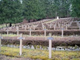 Sondernach : la nécropole française du Bois de Maettlé. 