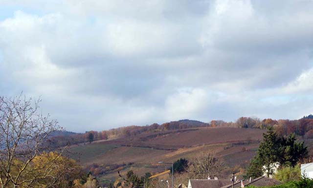 Vue de la colline et de la cote 425 depuis Sandozwiller.