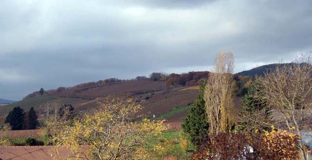  Vue de la colline et de la cote 425 depuis Steinbach.