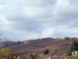 Vue de la colline et de la cote 425 depuis Sandozwiller.