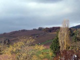  Vue de la colline et de la cote 425 depuis Steinbach.