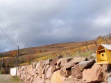  Vue de la colline et de la cote 425 depuis Sandozwiller.