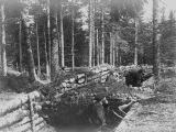 Tranchée de Chasseurs Alpins au col du Bonhomme. Juillet 1915.