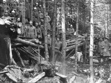 Soldats allemands autour d'un abri partiellement détruit par l'artillerie française.