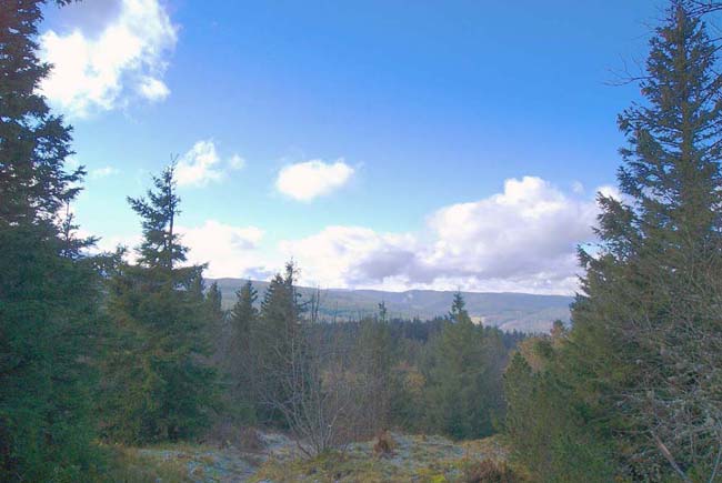 Vue du sommet vers le col du Bonhomme.