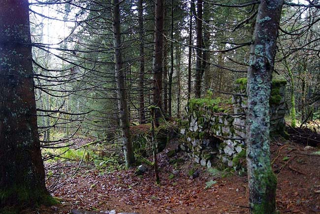 Vestiges du mur-tranchée montant au Bastion.