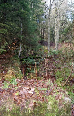 Vestiges du mur-tranchée montant au Bastion.