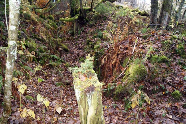 La Roche du Corbeau (Rabenfels) : tranchée. 