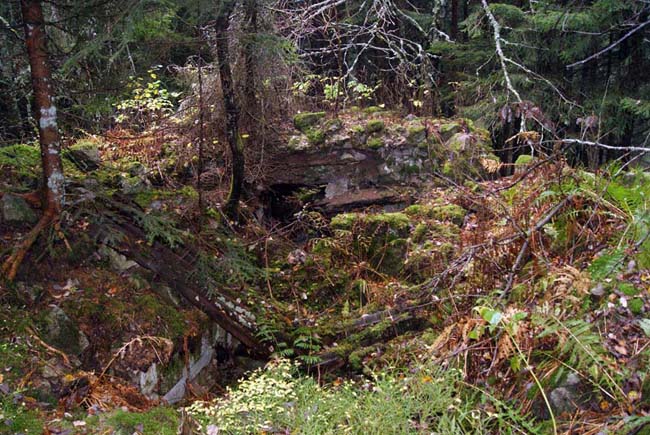 Abri autour de la Roche du Corbeau.