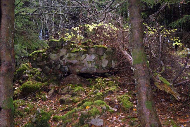 Abri autour de la Roche du Corbeau.