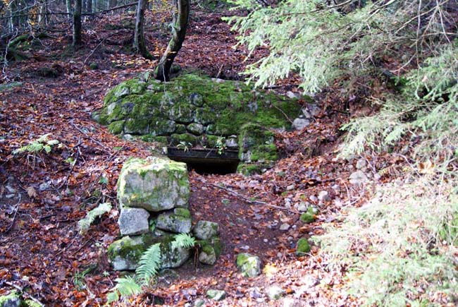 Abri sur le chemin reliant l'étang du Devin au village du Bonhomme.  