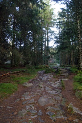 Chemin muletier grimpant au sommet. 