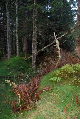 Tranchée française au sud du sommet, avant le petit col séparant la Petite de la Grande Tête des Faux. 