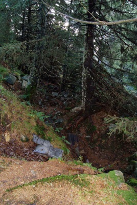 Tranchée française au sud du sommet, avant le petit col séparant la Petite de la Grande Tête des Faux. 