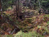 Abri autour de la Roche du Corbeau.