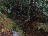 Tranchée française au sud du sommet, avant le petit col séparant la Petite de la Grande Tête des Faux. 