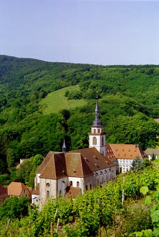 Andlau : l’église abbatiale Sainte-Richarde vue depuis le coteau du Wibelsberg.